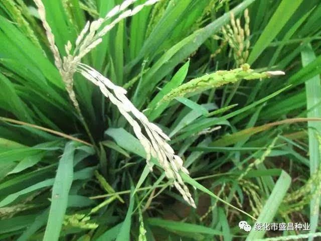 微信圖片_20180816113515.jpg