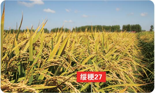 QQ截圖20201112142607.jpg