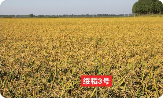 QQ截圖20201112142634.jpg